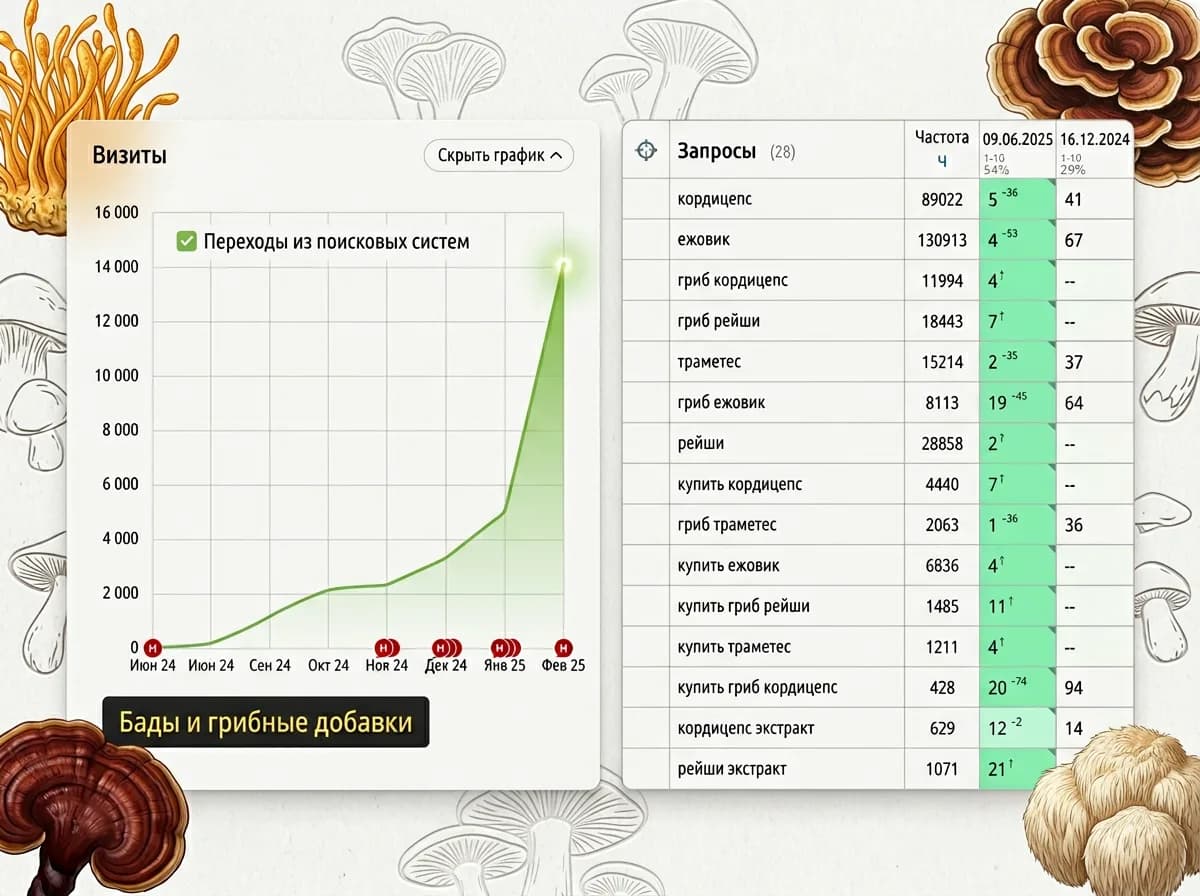 Кейс: Грибные добавки: SEO в высокой конкуренции