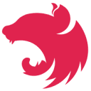Node.js (NestJS, Express, Fastify)